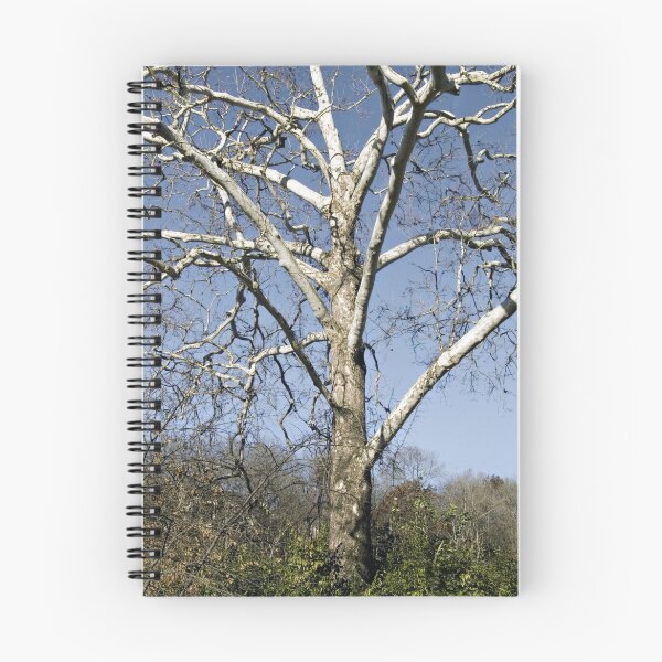 Item preview, Leafless Tree designed and sold by Joy  Rector.