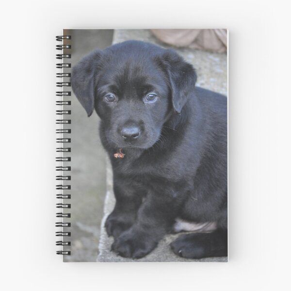 Item preview, Bailey-2 designed and sold by irishlad57.