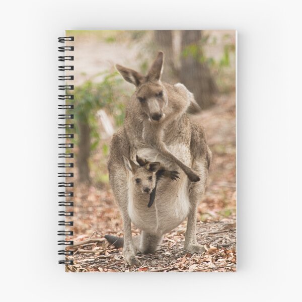 Item preview, Kangaroo, just having a scratch! designed and sold by Anna Calvert.