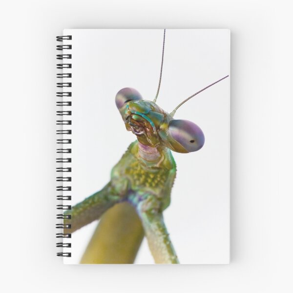 Item preview, Mantis designed and sold by SD Smart.