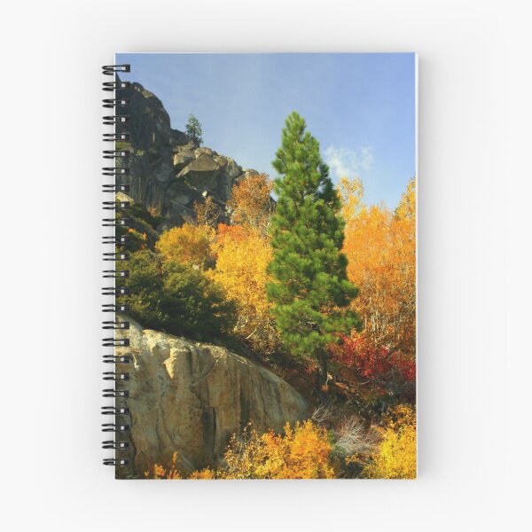 Artikelvorschau, "Fall Spectacular" entworfen und verkauft von Lynn Bawden.
