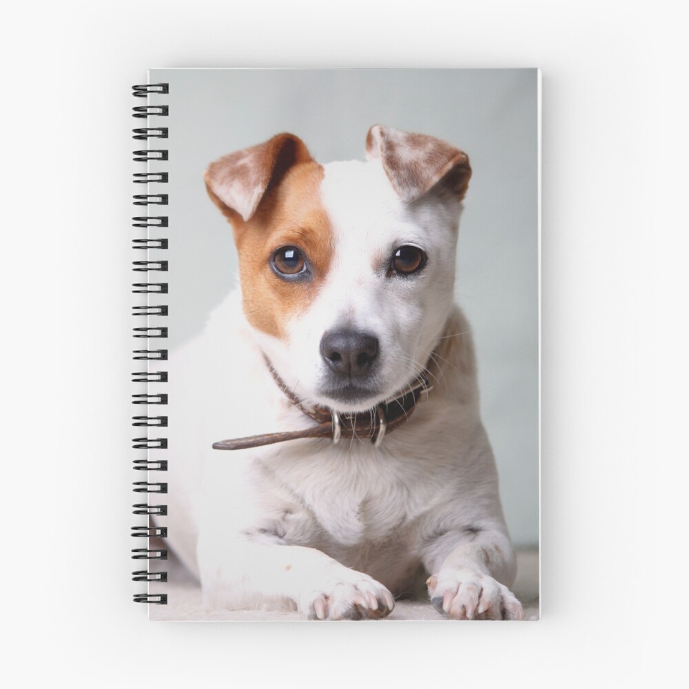 Item preview, Spiral Notebook designed and sold by Inyaface.