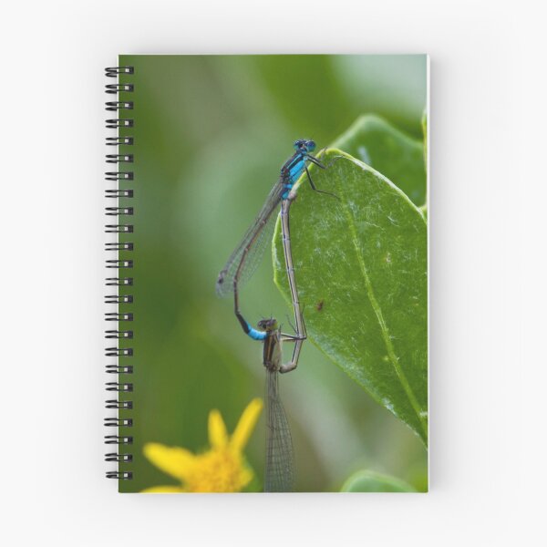 Item preview, Mister & Missus Bluetail Damselfly designed and sold by Normf.