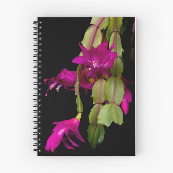 Item preview, Christmas Cactus Purple Flower blooms designed and sold by Bo Insogna.