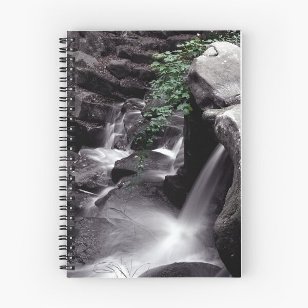 Artikelvorschau, Ivy water fall entworfen und verkauft von Doug McRae.