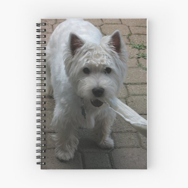 Item preview, Brody Cagney designed and sold by MarianBendeth.
