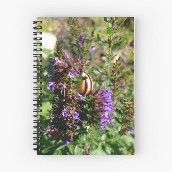 Item preview, Snail on Hyssop designed and sold by svehex.