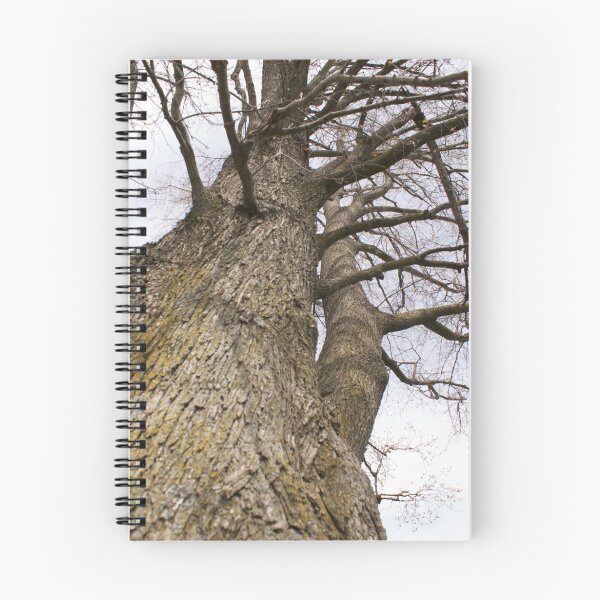 Item preview, Tall walk of life designed and sold by katpartridge.
