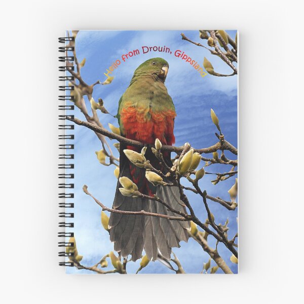 Item preview, King Parrot - Hello from Drouin designed and sold by Bev Pascoe.