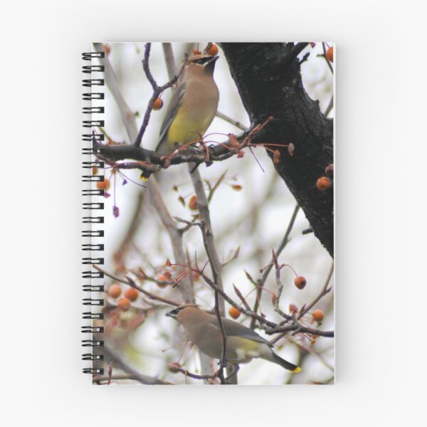 Item preview, pair of Cedar waxwings designed and sold by Lenny La Rue, IPA.