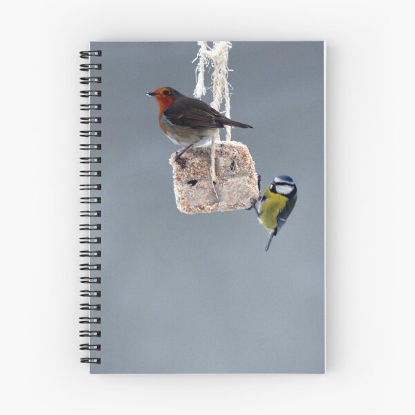 Item preview, Robin & Blue Tit "Chewin' the Fat" in Peebles Garden designed and sold by rosie320d.