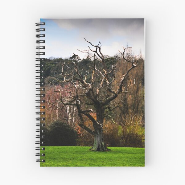 Item preview, Ancient Somerset Tree designed and sold by Gary Baker.