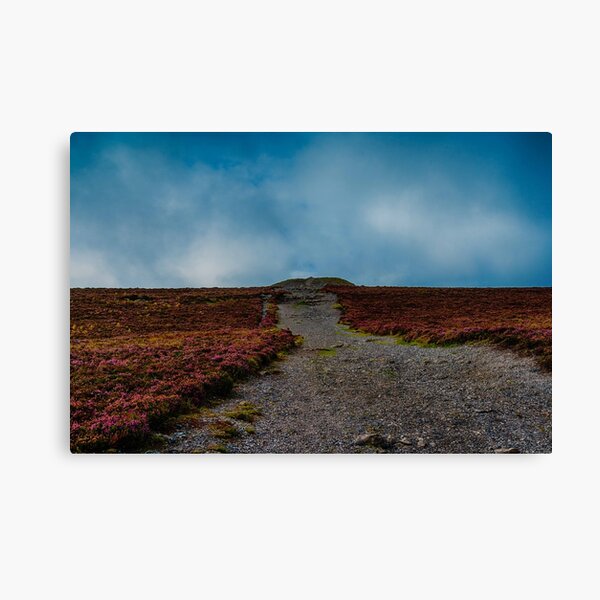 Sligo Leinwanddruck