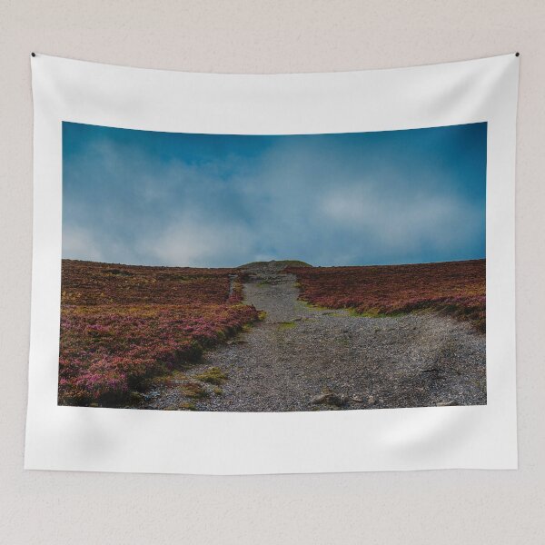 Item preview, Looking up Knocknarea designed and sold by Mark Bangert.