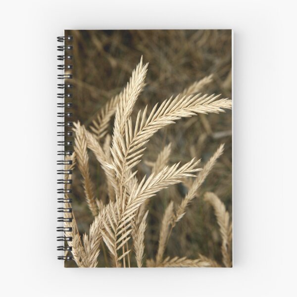 Item preview, summer grasses designed and sold by vernonite.