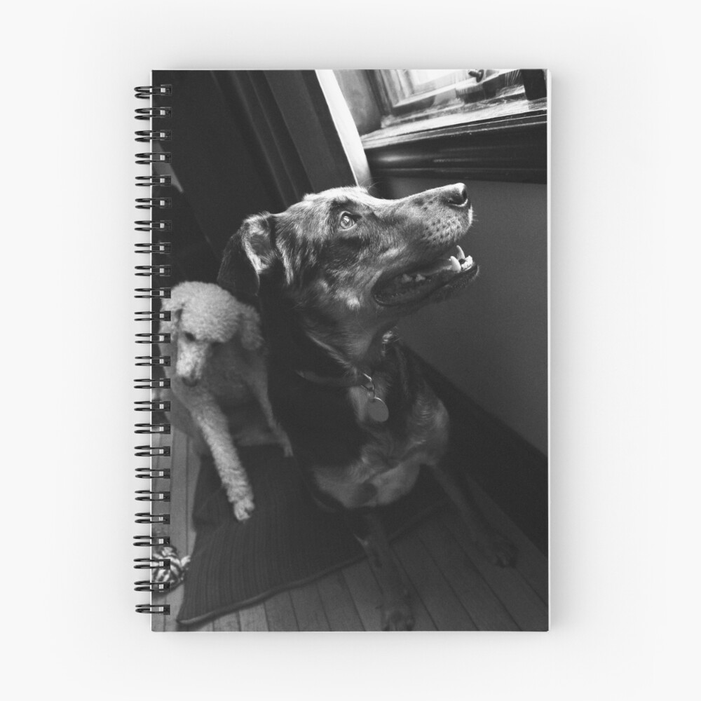 Item preview, Spiral Notebook designed and sold by SamTheCowdog.