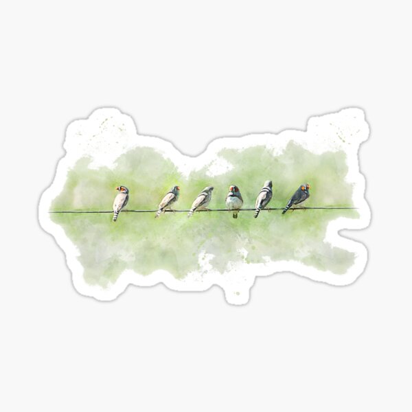 Finches Sticker