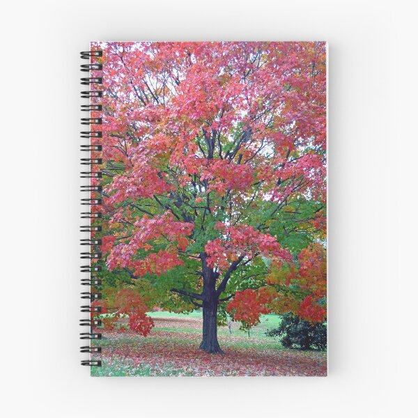 Item preview, Turning Summer into Autumn designed and sold by Sketch5x10.