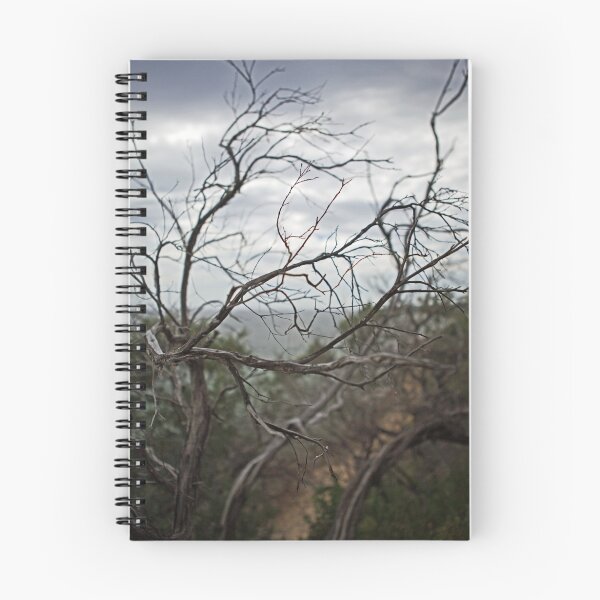 Item preview, Tea tree designed and sold by Adriano Carrideo.