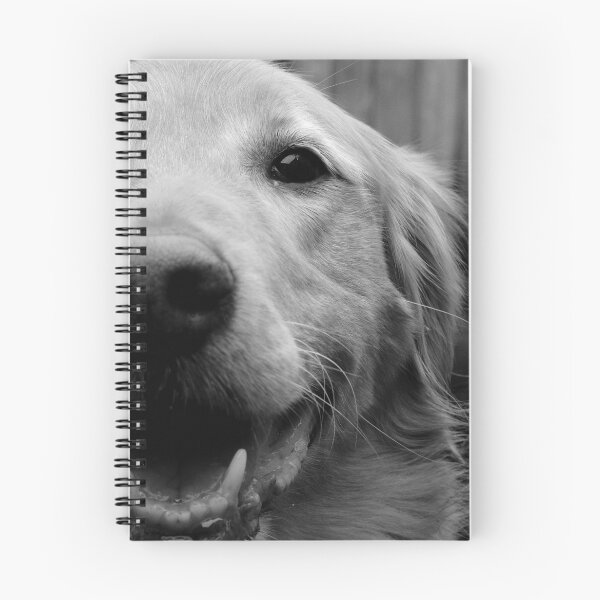 Item preview, Tucker designed and sold by Tim Shoen.