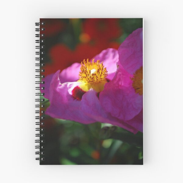 Item preview, Sunlight and Warmth designed and sold by Lozzar Flowers & Art.