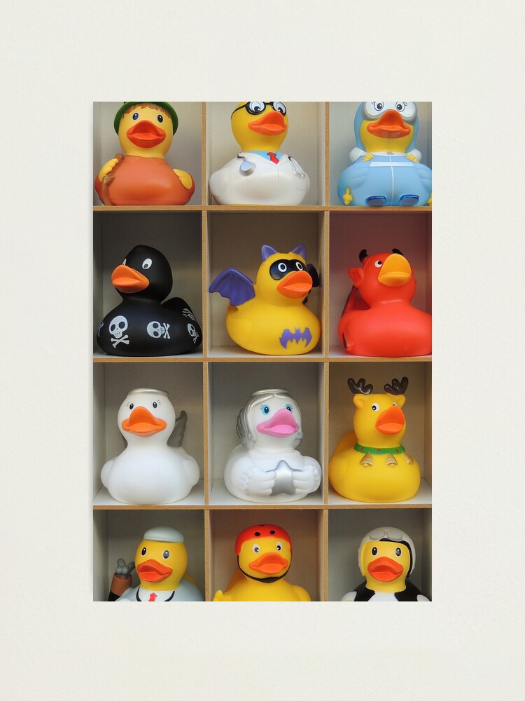 Which Rubber Duck for My Next Bath Photographic Print for Sale by Alexandra Lavizzari Redbubble