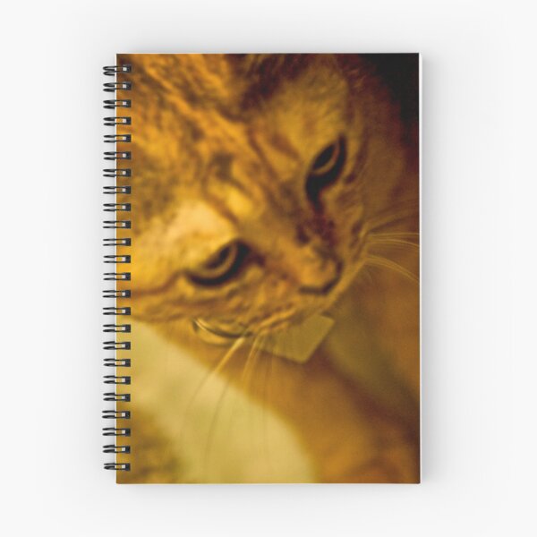 Item preview, Thoughtfully  designed and sold by Kornrawiee.