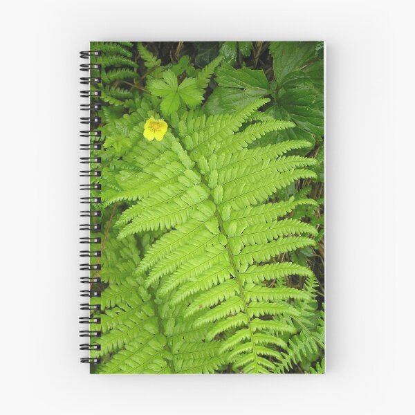 Item preview, Hedgerow No.1.  Buttercup and Fern. designed and sold by RodrossarioMP.