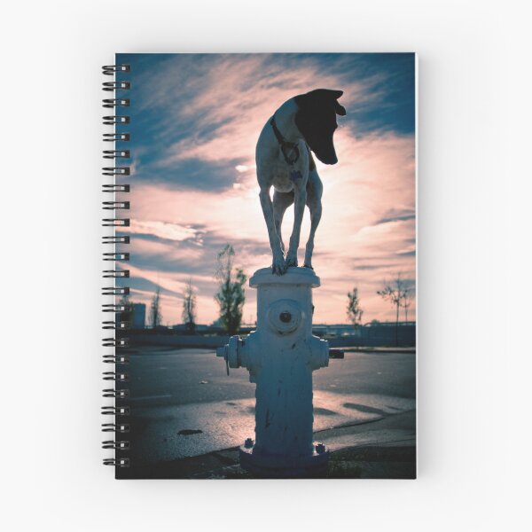 Item preview, stewart victorious designed and sold by laureliz.