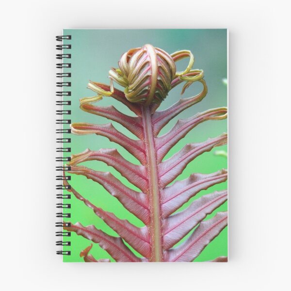 Item preview, Unfurling designed and sold by Paul Todd.