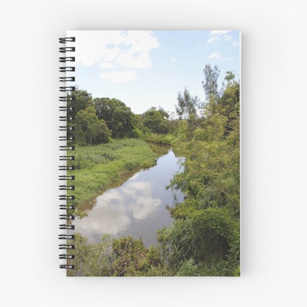 Aperçu de l'œuvre Enoggera Creek créée et vendue par Magda Labuda.