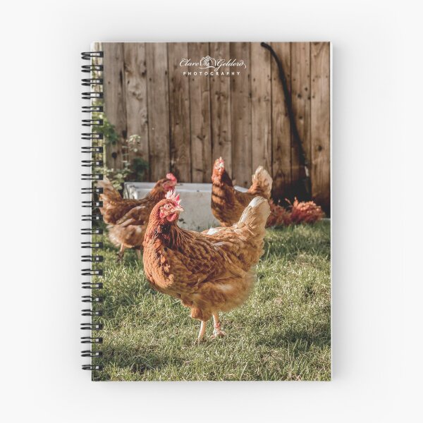 Aperçu de l'œuvre Vie de poule créée et vendue par Clare Gelderd.