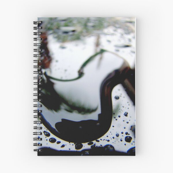Item preview.
