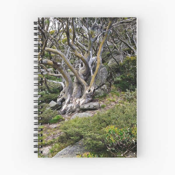 Item preview, Snow Gum designed and sold by DavidIori.