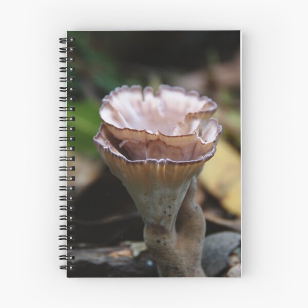 Item preview, A Bush Find.... designed and sold by Carol Knudsen.