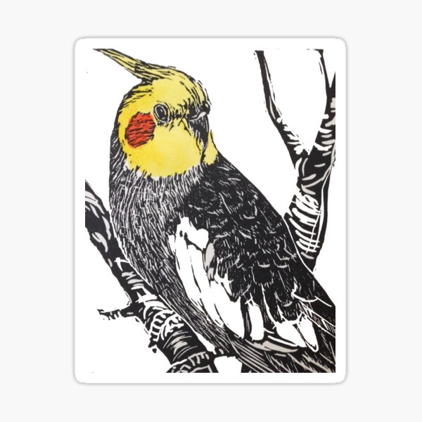 Cockatiel Sticker