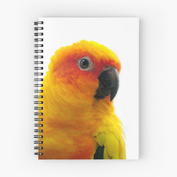 Item preview, Sun Conure designed and sold by Tamara  Kenneally.