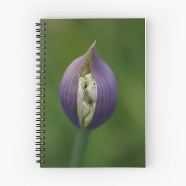 Item preview, emergence designed and sold by Clare Colins.