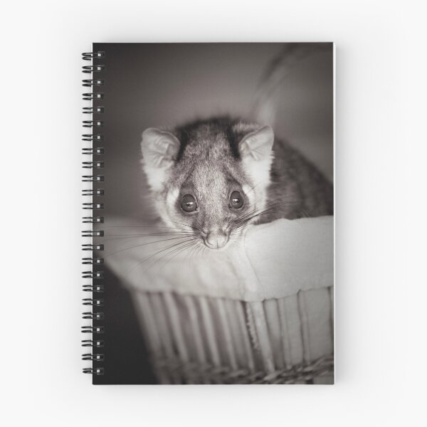 Item preview, "Shyla" Ringtail Possum designed and sold by Amber  Williams.
