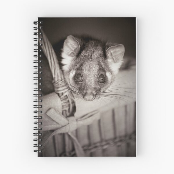 Item preview, "Shyla" Ringtail Possum designed and sold by Amber  Williams.