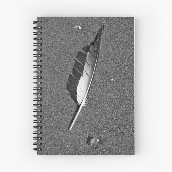 Artikelvorschau, Beached Feather entworfen und verkauft von jaypwhite.
