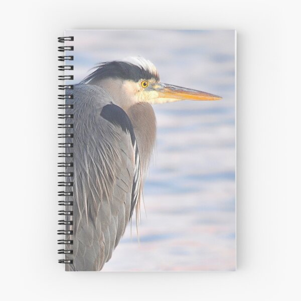 Item preview, Vigilance designed and sold by Carl Olsen.