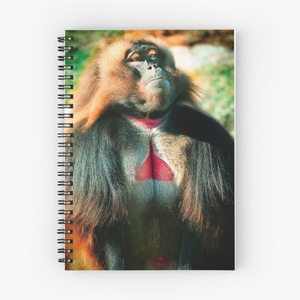 Artikelvorschau, Fabianna, Queen of the baboons entworfen und verkauft von alan shapiro.