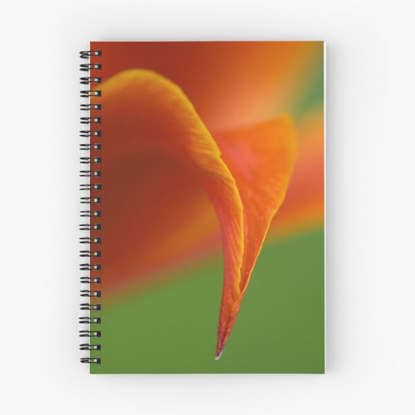Item preview, Spring curves II designed and sold by Igor Mazulev.