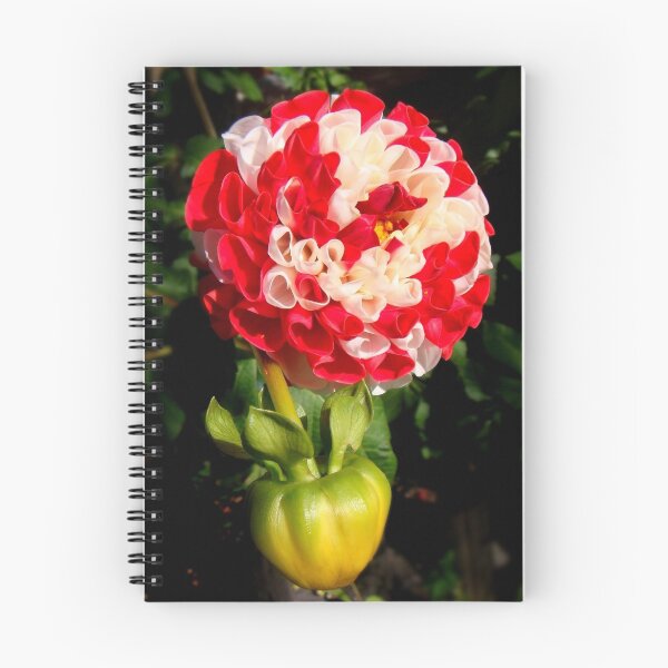 Item preview, Dalia Red-White  designed and sold by Eugenio.