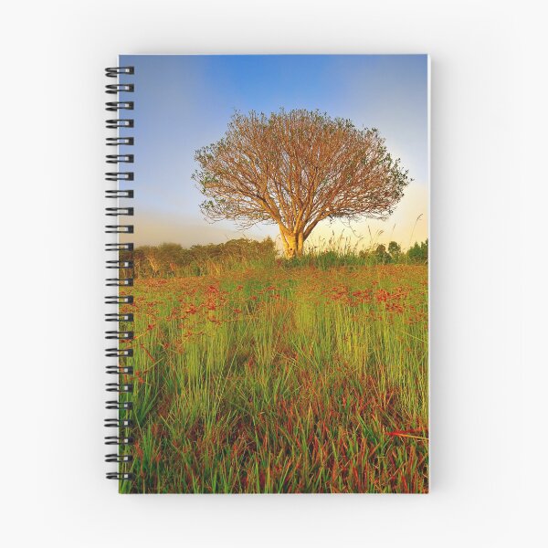Item preview, Charlie's tree designed and sold by Geraldine Lefoe Photography.