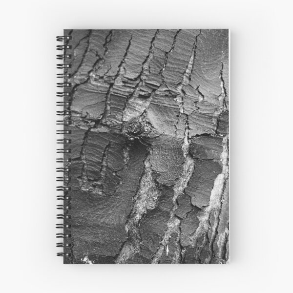 Aperçu de l'œuvre Tree bark créée et vendue par Sarah Horsman.