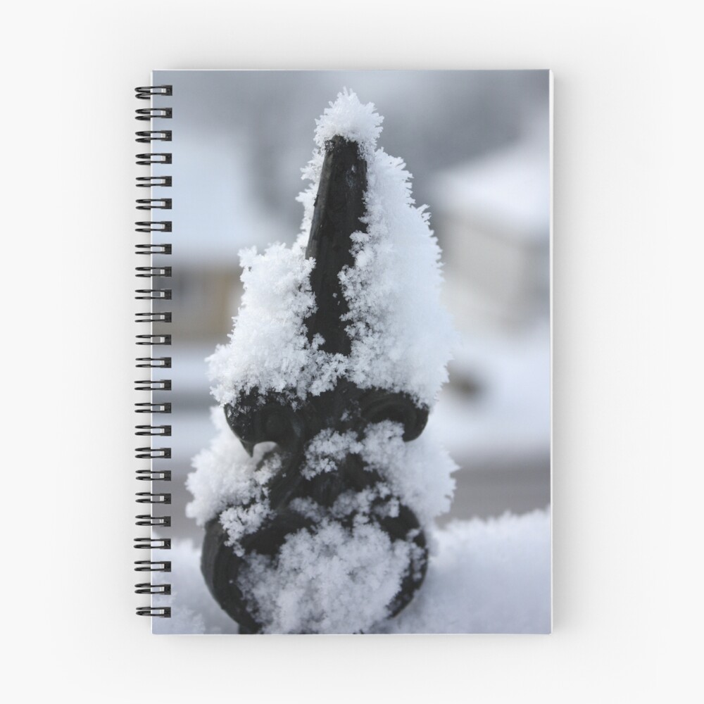 Vista previa del artículo con la obra «Cuaderno de espiral», diseñado y vendido por CFoley.