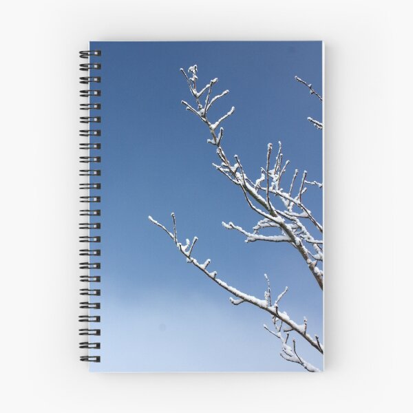 Aperçu de l'œuvre Snowy Branches créée et vendue par CFoley.
