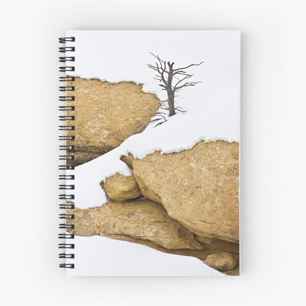 Artikelvorschau, Winter Tree on Sandstone entworfen und verkauft von Kim Barton.